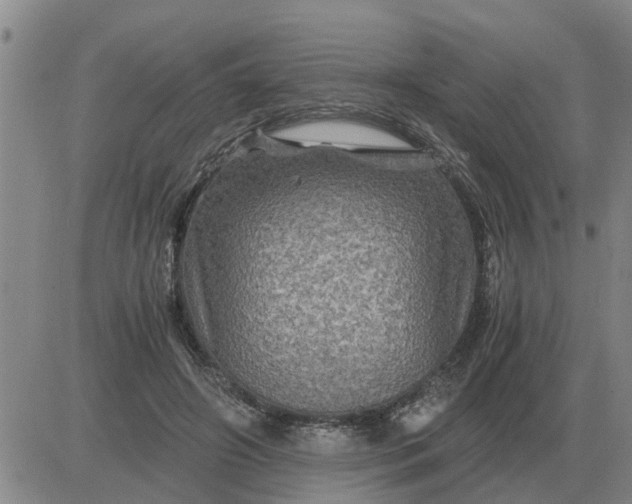 X0000084030498200703022126