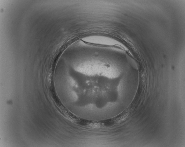 X0000084030499200703022126