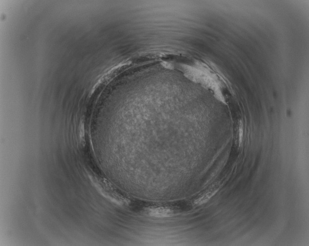 X0000084030500200703022126