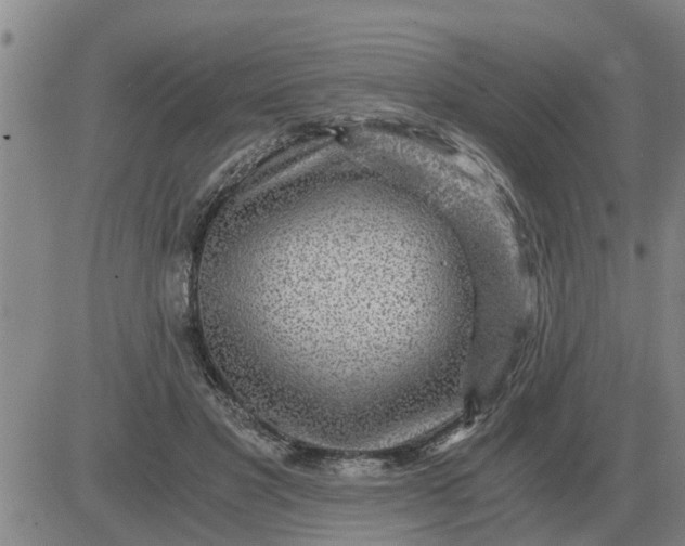 X0000084030501200703022126