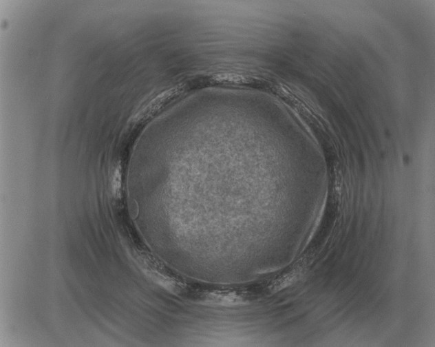 X0000084030502200703022126