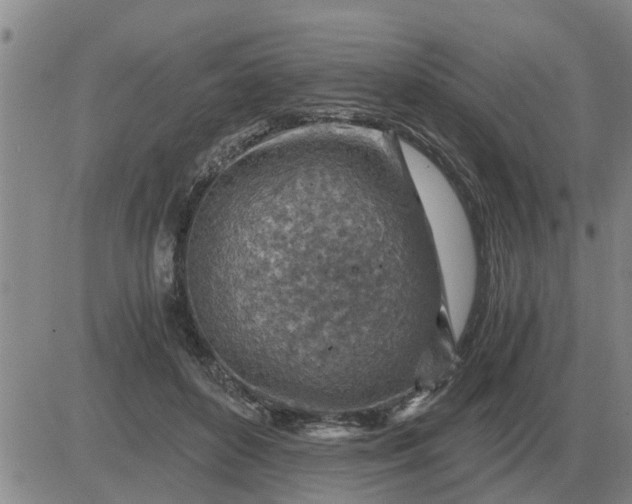 X0000084030504200703022126