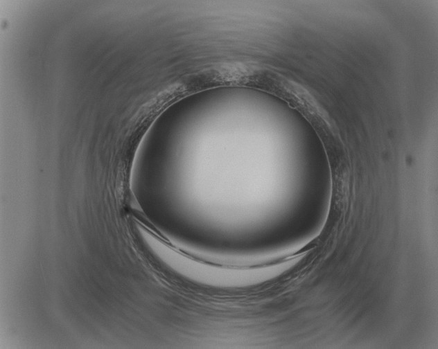 X0000084030505200703022126