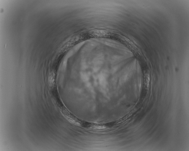 X0000084030507200703022126