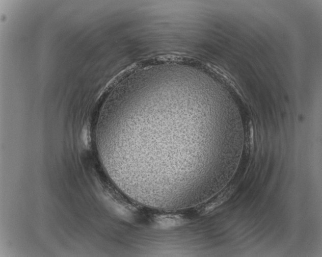 X0000084030508200703022126