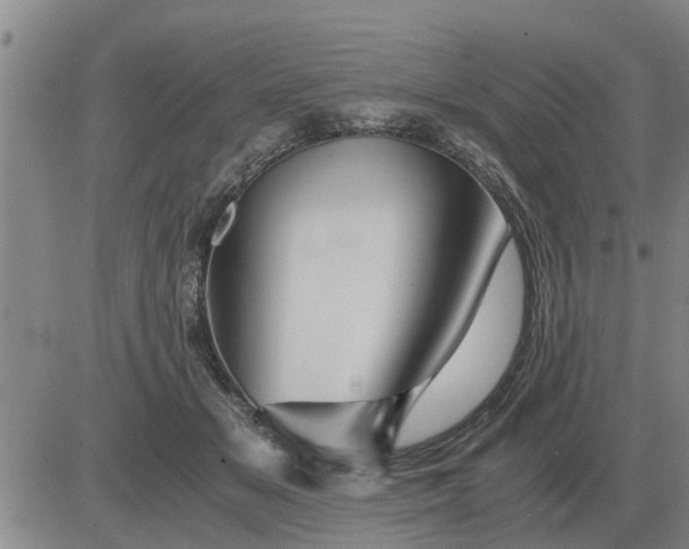 X0000084030509200703022126