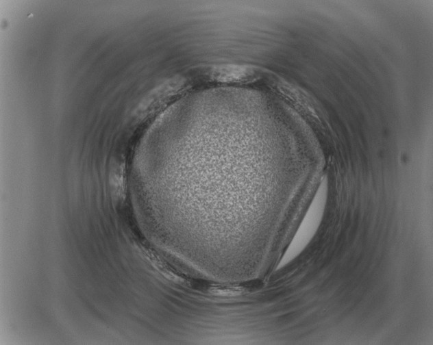 X0000084030510200703022126