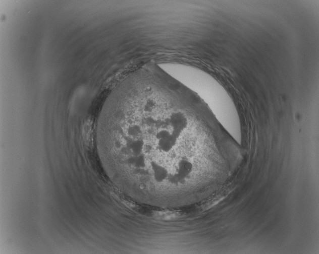 X0000084030511200703022126