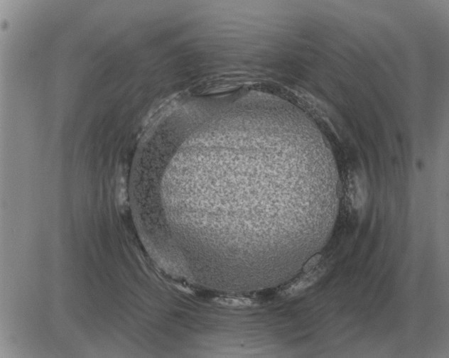 X0000084030512200703022126