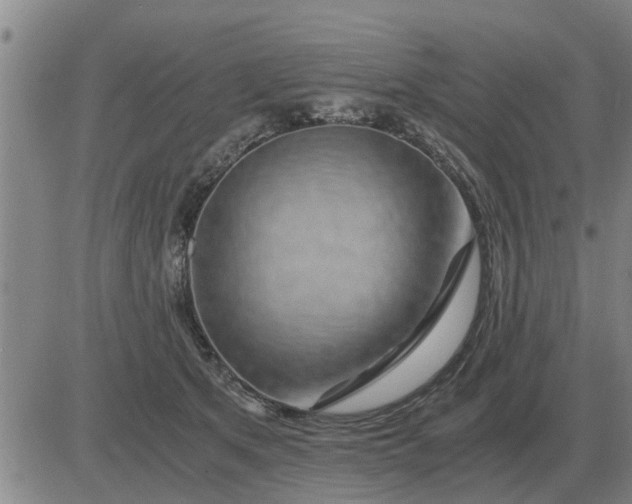 X0000084030513200703022126