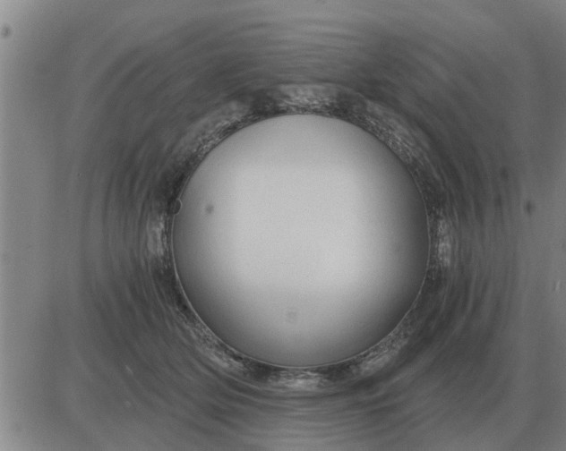 X0000084030514200703022126