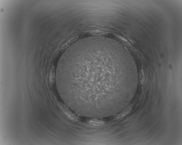 X0000084030515200703022126