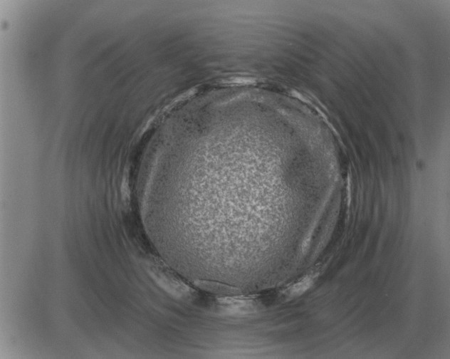 X0000084030516200703022126