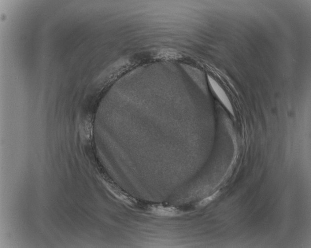 X0000084030517200703022126