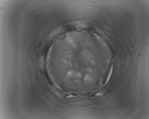 X0000084030519200703022126