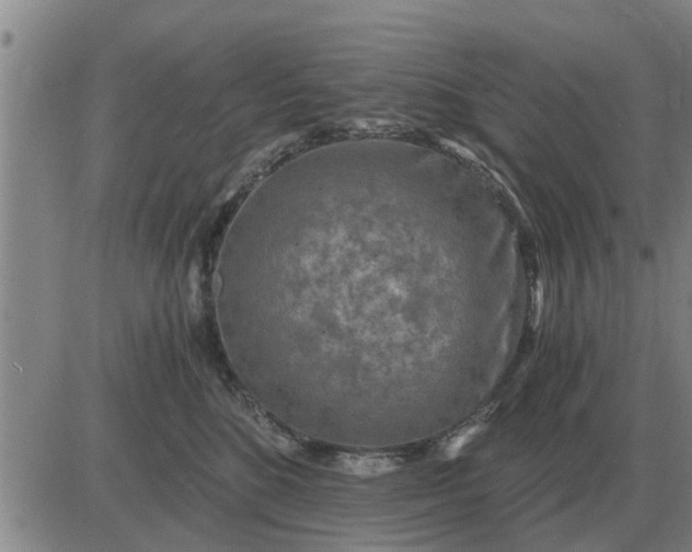 X0000084030520200703022126