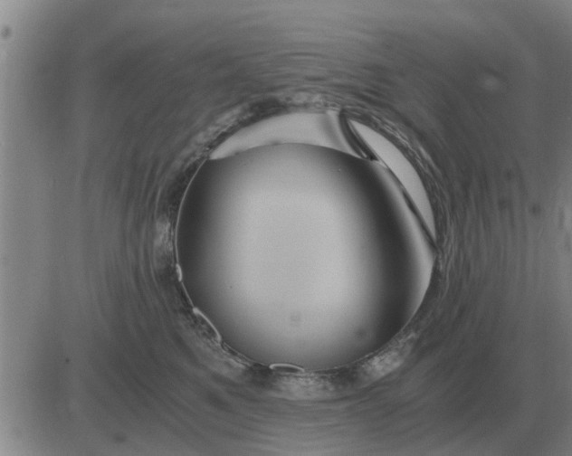 X0000084030521200703022126