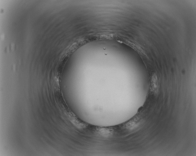 X0000084030522200703022126