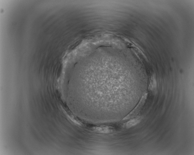 X0000084030524200703022126