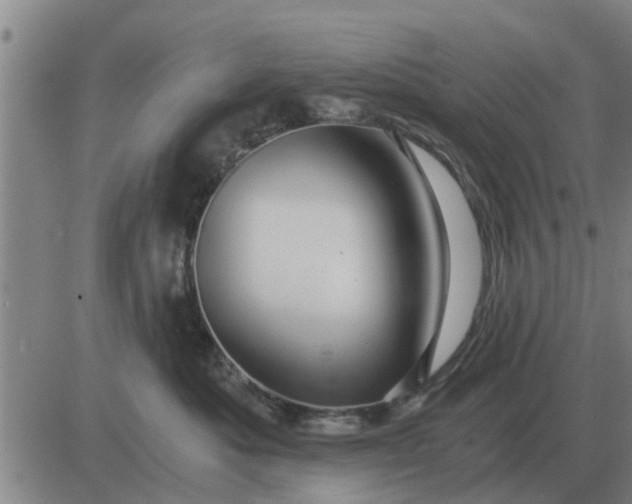 X0000084030525200703022126