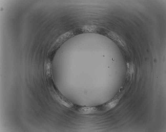 X0000084030526200703022126