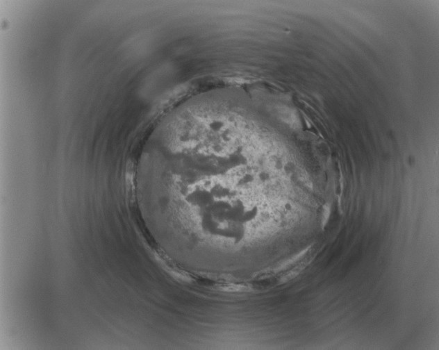 X0000084030527200703022126