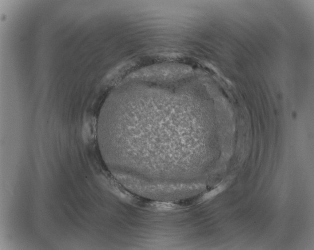 X0000084030528200703022126