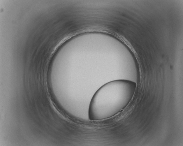 X0000084030530200703022125