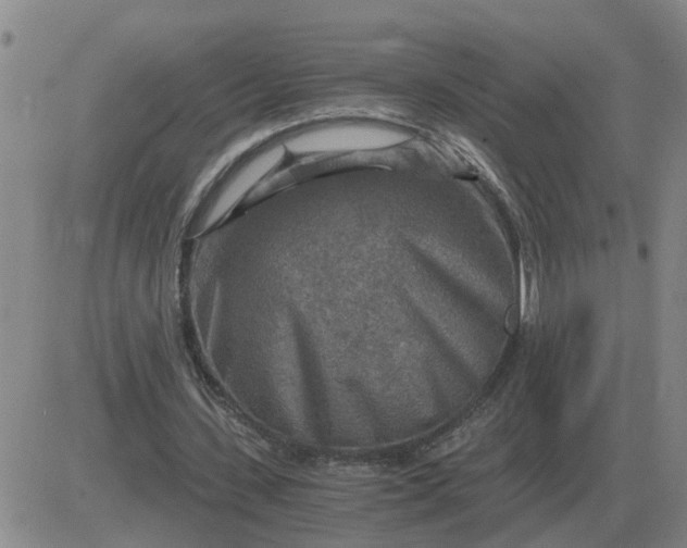 X0000084030531200703022125