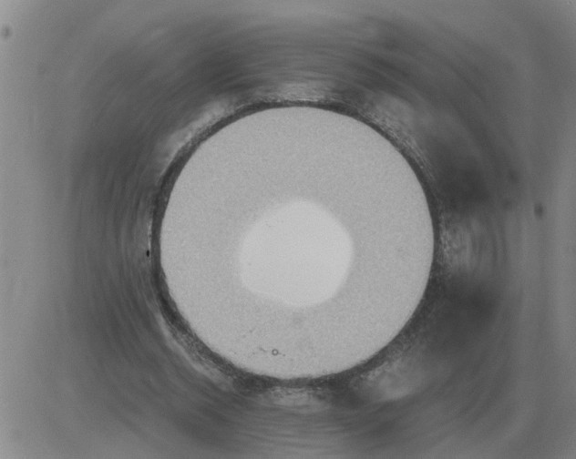 X0000084030534200703022125