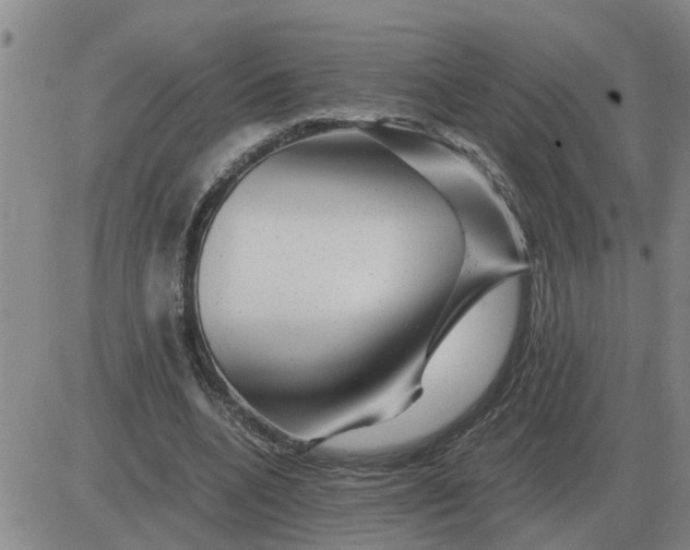 X0000084030536200703022125