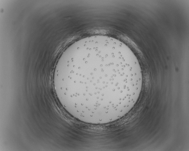 X0000084030537200703022125