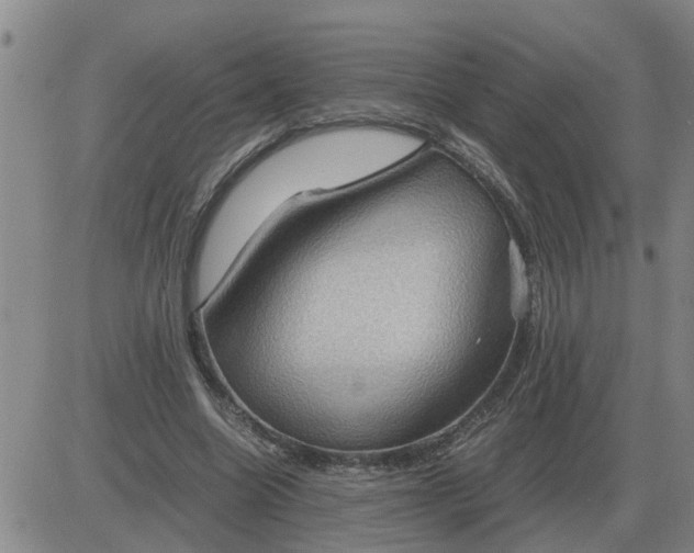 X0000084030538200703022125