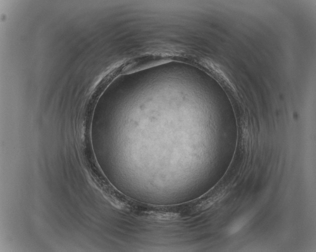 X0000084030539200703022125