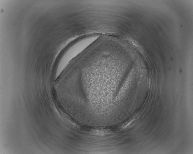 X0000084030540200703022125