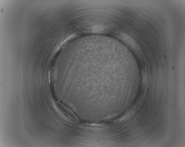 X0000084030542200703022125