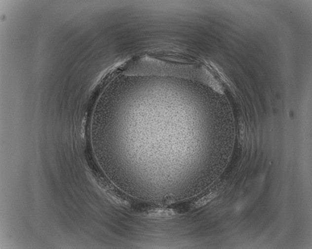 X0000084030543200703022125