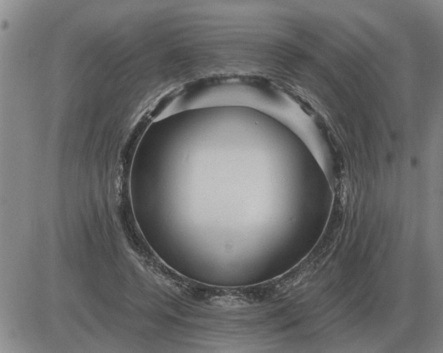 X0000084030544200703022125