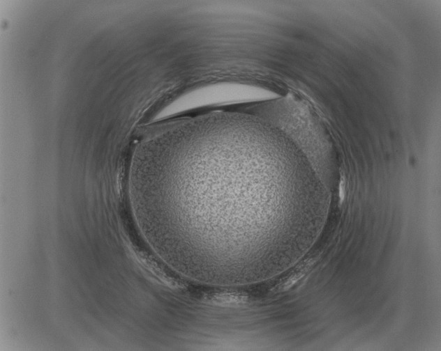 X0000084030546200703022125