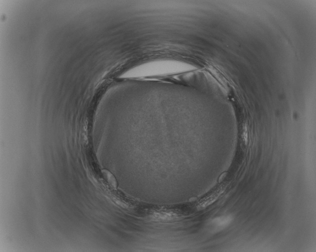 X0000084030547200703022125