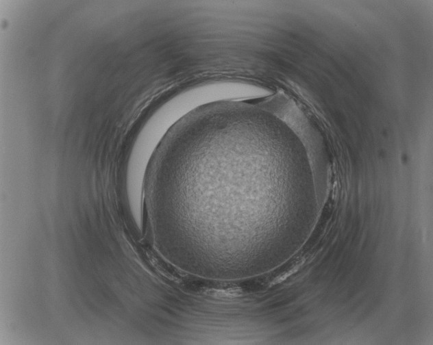 X0000084030548200703022125