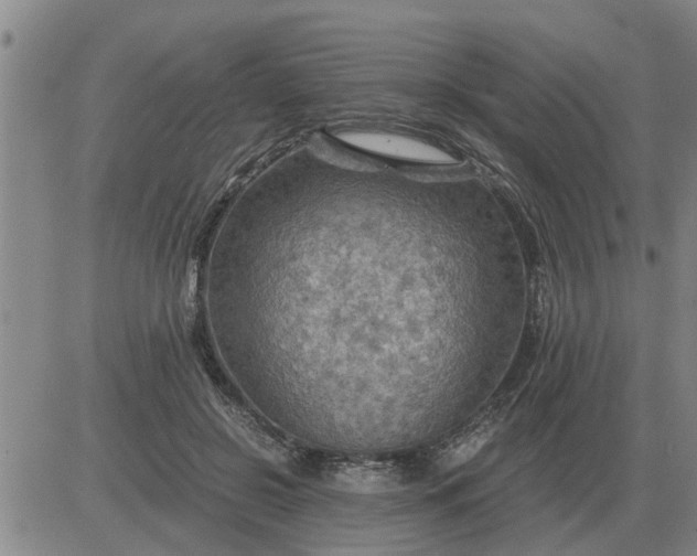 X0000084030550200703022125