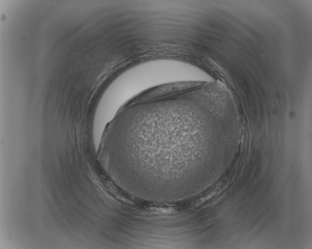 X0000084030552200703022125