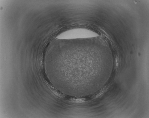 X0000084030553200703022125