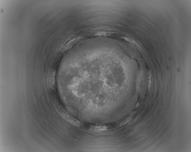 X0000084030554200703022125