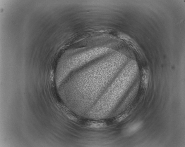 X0000084030555200703022125