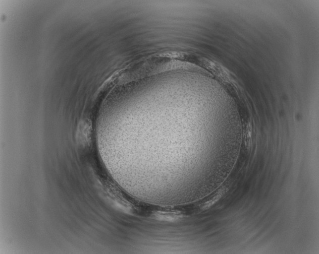 X0000084030556200703022125