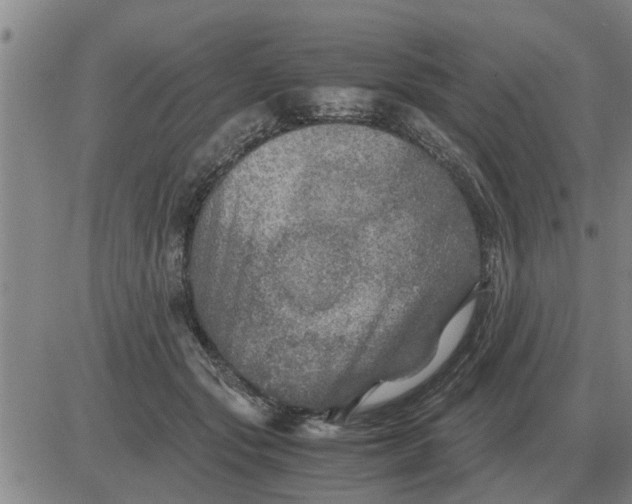 X0000084030557200703022125