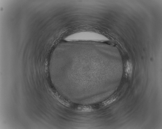 X0000084030559200703022125