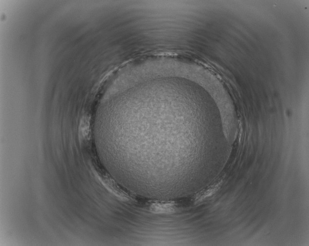 X0000084030560200703022125